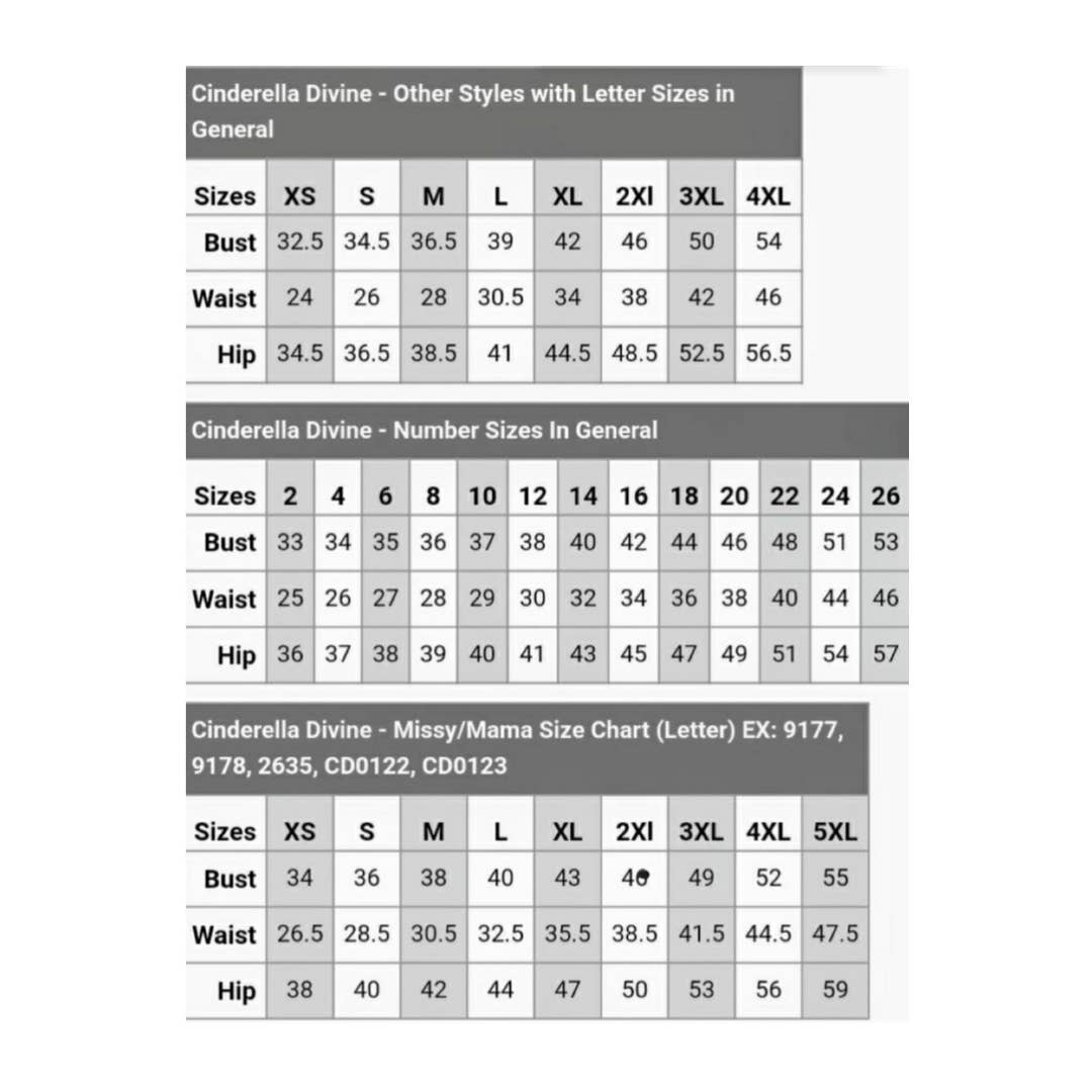 Silver fitted Formal Dress SPRING LOOK 006