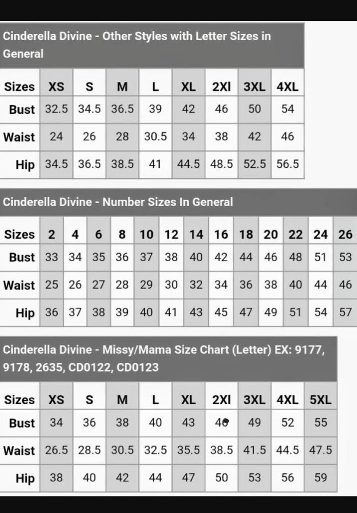 Floral corset gown CB046 evening dress