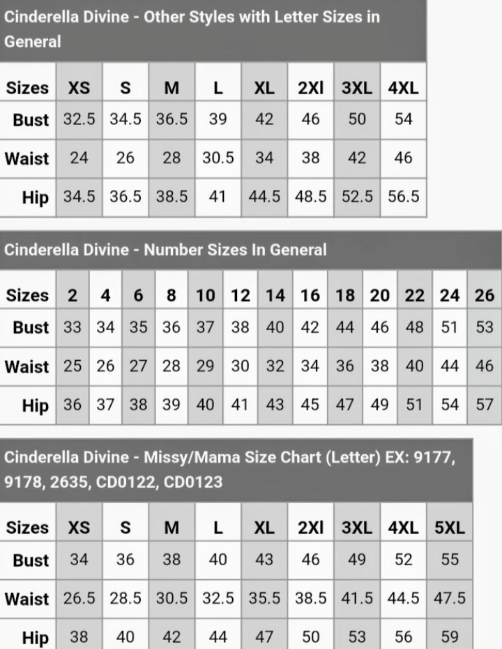 Rita Open Back Evening Gown CD2219